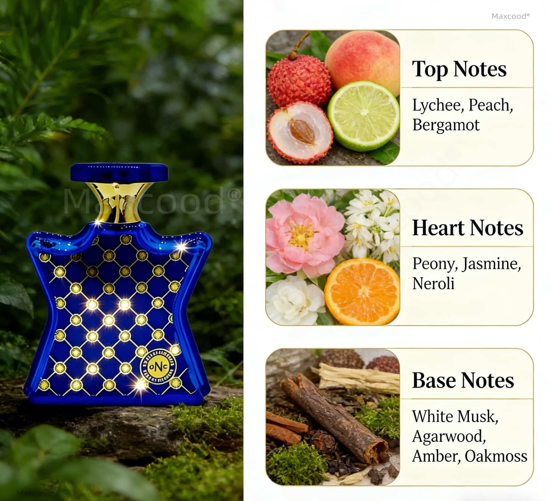 Citrus and Floral Perfume Long - Perfume Luxury Fragrance review and price